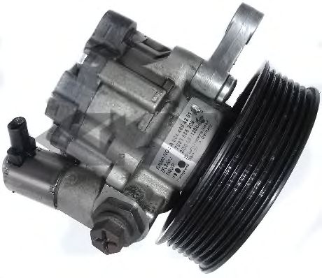 Hydraulic Pump, steering system 54393