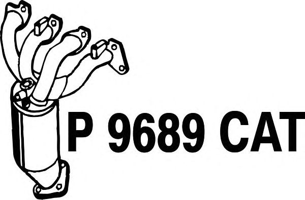 Catalytic Converter P9689CAT