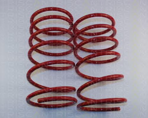 Suspension Kit, coil springs 8755 28011