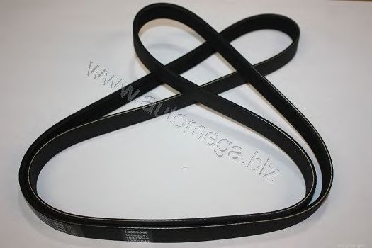 V-Ribbed Belts 3113400663