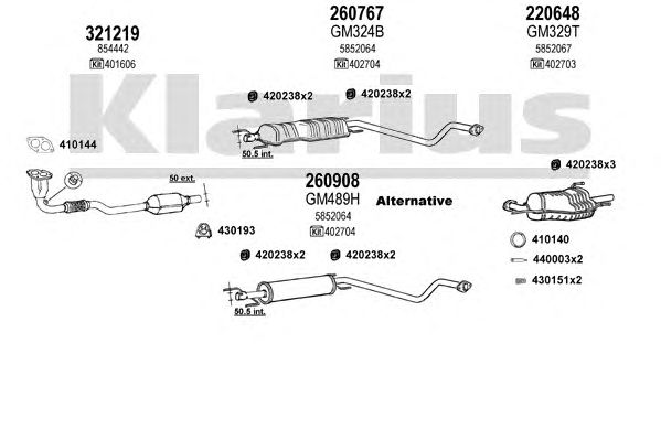Exhaust System 391024E