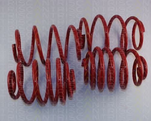 Suspension Kit, coil springs 8755 24017