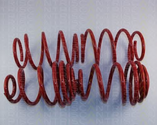 Suspension Kit, coil springs 8755 24021