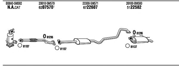 Exhaust System NI55015