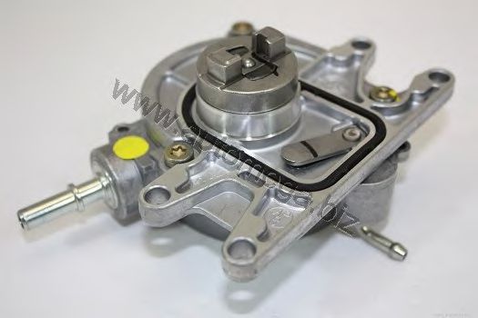 Vacuum Pump, brake system 1005450423