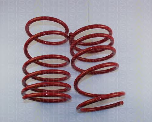 Suspension Kit, coil springs 8755 28003