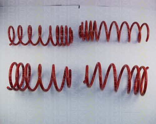 Suspension Kit, coil springs 8755 29028