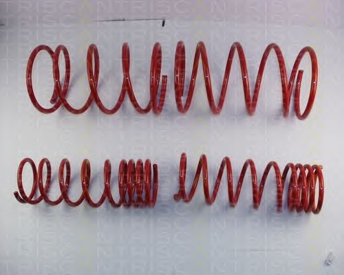 Suspension Kit, coil springs 8755 42001