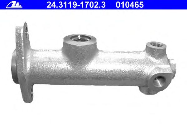 Master Cylinder, brakes 24.3119-1702.3