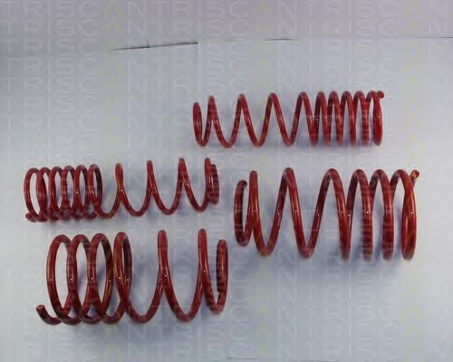 Suspension Kit, coil springs 8755 66001