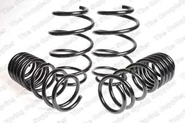 Suspension Kit, coil springs 4504220
