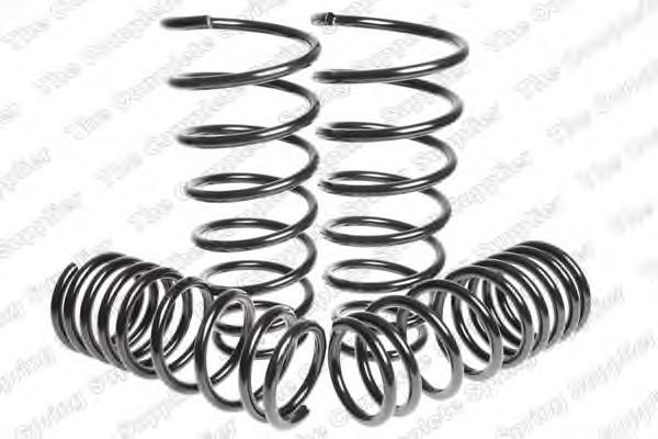 Suspension Kit, coil springs 4562020