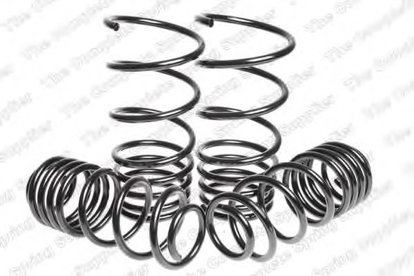 Suspension Kit, coil springs 4588908