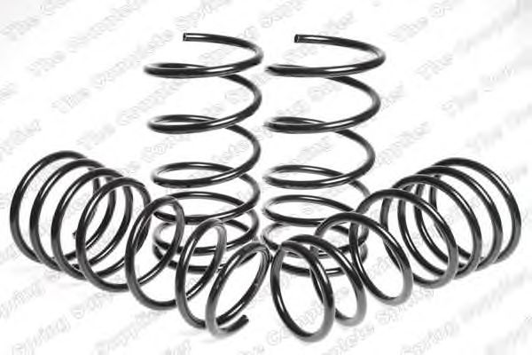 Suspension Kit, coil springs 4592516