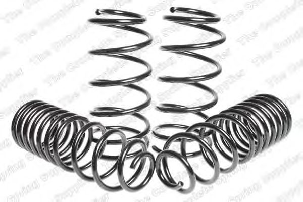 Suspension Kit, coil springs 4595006