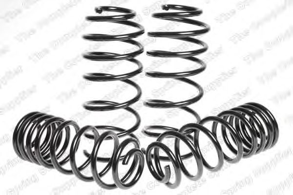 Suspension Kit, coil springs 4595015