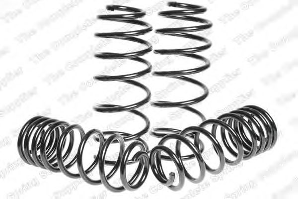 Suspension Kit, coil springs 4595016