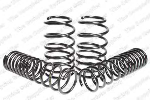 Suspension Kit, coil springs 4595036
