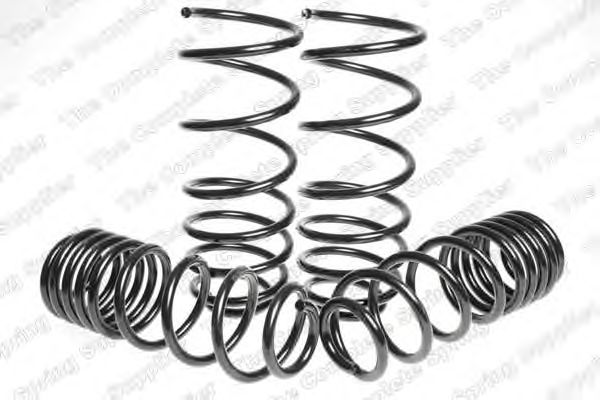 Suspension Kit, coil springs 4595045