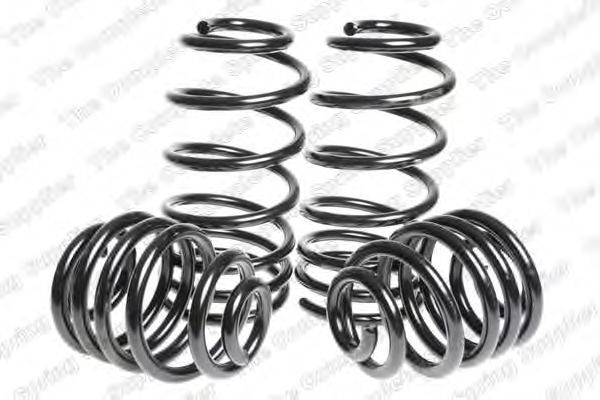 Suspension Kit, coil springs 4595057