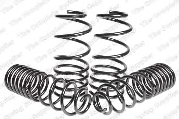 Suspension Kit, coil springs 4595069