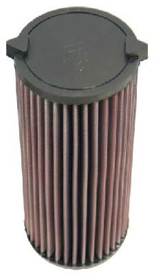 Air Filter E-2992