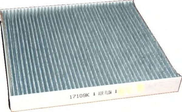 Filter, interior air 17109K