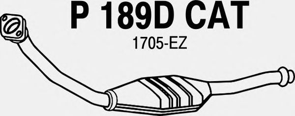 Catalytic Converter P189DCAT
