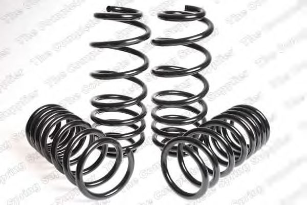 Suspension Kit, coil springs 4504251