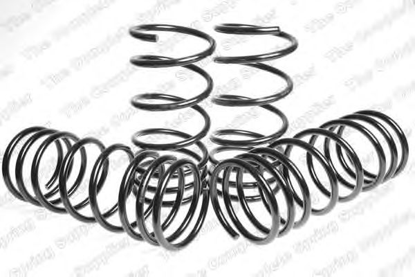 Suspension Kit, coil springs 4555405