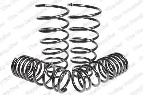 Suspension Kit, coil springs 4562021