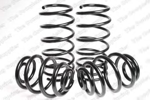 Suspension Kit, coil springs 4563418