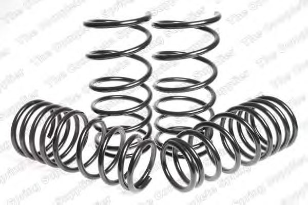 Suspension Kit, coil springs 4592522