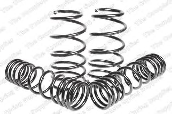 Suspension Kit, coil springs 4595004