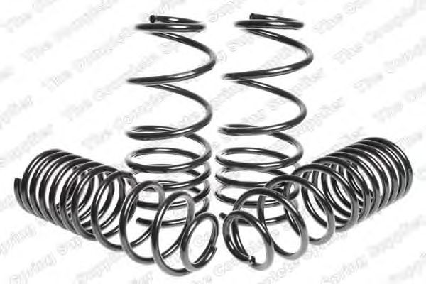 Suspension Kit, coil springs 4595009