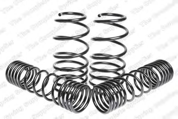 Suspension Kit, coil springs 4595028