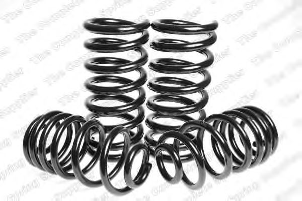 Suspension Kit, coil springs 4595072