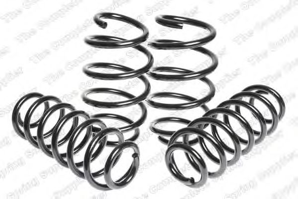Suspension Kit, coil springs 4595080