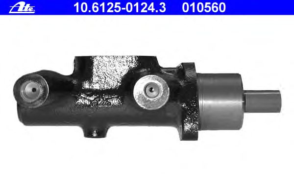Master Cylinder, brakes 10.6125-0124.3