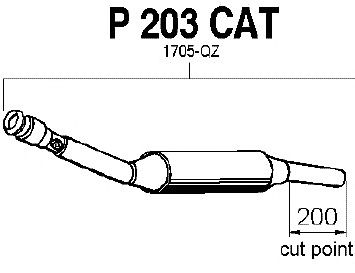 Catalytic Converter P203CAT