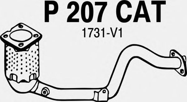 Catalytic Converter P207CAT