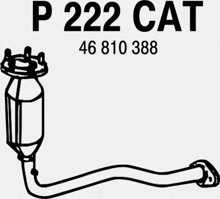 Catalytic Converter P222CAT