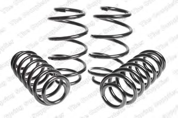 Suspension Kit, coil springs 4504280