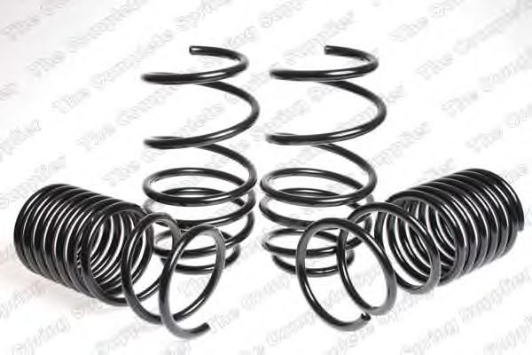 Suspension Kit, coil springs 4526132