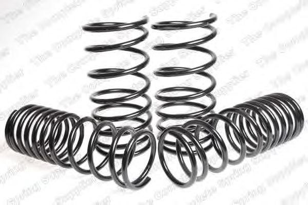 Suspension Kit, coil springs 4555402