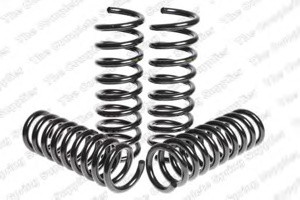 Suspension Kit, coil springs 4556830