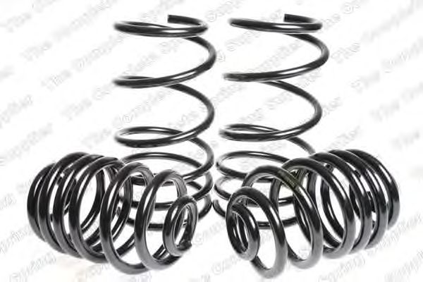 Suspension Kit, coil springs 4563421