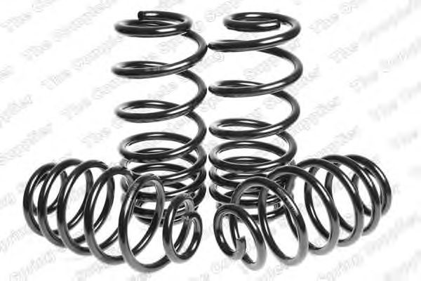 Suspension Kit, coil springs 4595026