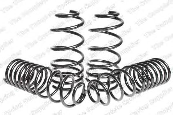 Suspension Kit, coil springs 4595050