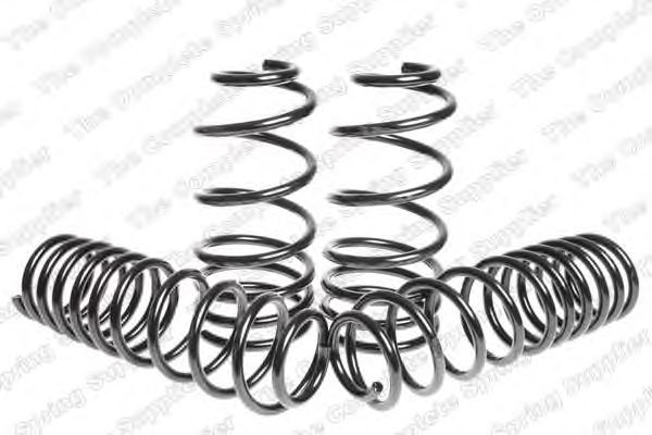 Suspension Kit, coil springs 4595051
